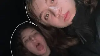 || painting challenge + chaotic nighttime || funny || ft Roses friend ||