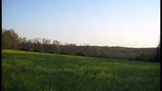 J-MAC Outdoors Spring Turkey Opening Day 2015