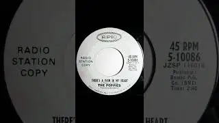 The Poppies - There's A Pain In My Heart - US Epic Records Radio Station Demo released 1966