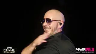 Pitbull - Brought To You By Attorney Dan Newlin