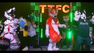Fursuit Dance Competition at TTFC | Audience View | Tails and Tornados 2023