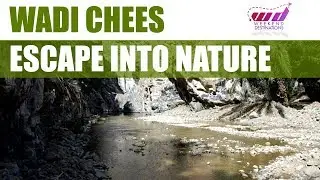 Water in the Desert - Wadi Chees - Fujairah, UAE
