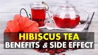 Hibiscus Tea Benefits and Side Effects | Hibiscus Tea Benefits For Weight Loss