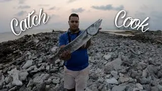 #outdoors #fishing Barracuda on Grill -- catch & cook ||Ep67