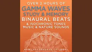 Memory Enhancer - 48.9 Hz Gamma Frequency Binaural Beats