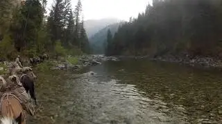 Crossing the selway river with a pack string