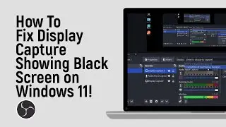 Как исправить ошибку OBS Display Capture, показывающую черный экран в Windows 11 [легко]