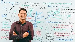 Bioenergetics introduction|Photosynthesis|Respiration|STB NCERT PTB FTB|Hindi Urdu||Pro.Suresh Kumar
