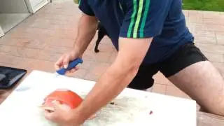 Filleting New Zealand trout