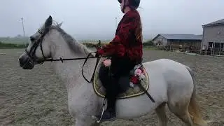 Carrousel 