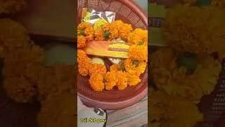 Kamakhya Temple Guwahati Assam #highlightseveryone #fyp #viral #india #love #kamakhyatemple #followe