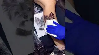 What's the Story Behind Your Tattoo? #funk #tattoo #drawing_complex #shorts #popstar #trending