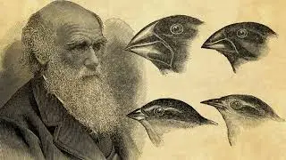 Charles Darwin's On the Origin of Species (1859)