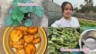 Chakumara Basak Bwtoi Thok Swkha🌱// @Alishavlogs11 