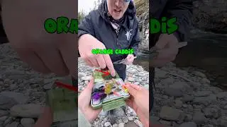 Изучаю ловлю нахлыстом, чтобы иметь больше возможностей поймать стальноголового лосося #рыбалка #...