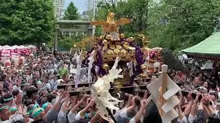 Asakusa Japan 令和元年 三社祭 ピックアップ映像