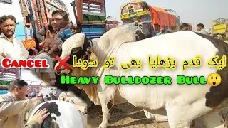 Qadam Barhaya Tou Soda Cancel Haan Karo Yaa Agay Barho Hashim Ki Dhamki || Karachi To Multan Epi - 4