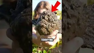 TOP 5 ANIMALS WITH POWERS STRAIGHT OUT OF HORROR MOVIES! 👀#HorrorAnimals #CreepyFacts #NatureIsMetal