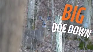 FINAL DOE | MISSION CROSSBOW | SADDLE HUNTING