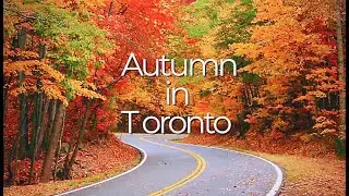 Toronto in the Fall 4K - Explore Stunning Fall Scenery of Parks, Trails 🍁