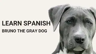 Learn Spanish Through Stories &ndash; Bruno The Gray Dog | Spanish Audio Podcast