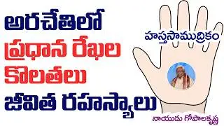 అరచేతిలో ప్రధాన రేఖలు కొలతలు | జీవిత రహస్యాలు | నాయుడు గోపాలకృష్ణ | హస్త సాముద్రికం @DaivaBhakthi