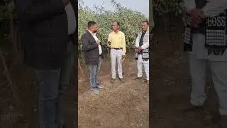 Apple ber farming