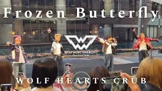 [魅了] WOLF HOWL HARMONY 