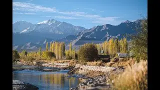 The Indus River Camp, in Ladakh