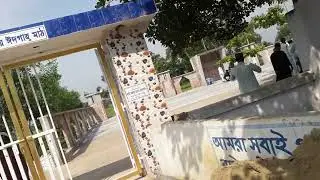 Thario he Patik