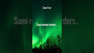 Reindeer Herding with the Sami 🦌❄️