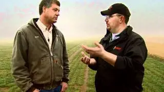 The Economics of Grazing Wheat