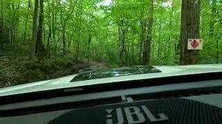 2025 4R TRD PRO mud flaps