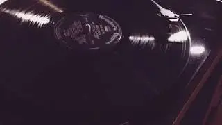 Naim And Focal, Pro-Ject