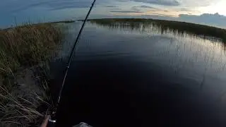 Solo Paddleboard Fishing the Everglades &mdash; Big Bass Blowup!
