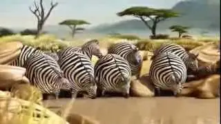 Ball Animals (Very funny)