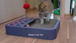 The Best Smart Interactive Cat Toy - Cheerble Board Game