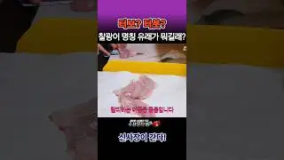 찰광어? 아니 이건 '터봇(Turbot)'입니다. 진짜를 아는 사람만 먹는 귀한 생선