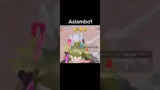 Aslambo1 pooppgy
