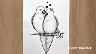 Love Birds Drawing | Valentine's Day Special Drawing | Parrot Drawing | Bird Drawing 