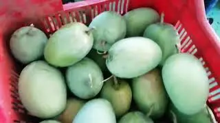 Kesar aam Fram nashik