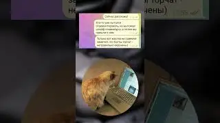 Тянется шлейф 😂 P.S. Помогаем удалить несправедливые отзывы, пишите 📨