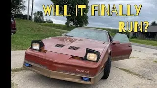 Will It Finally Run? 85 Firebird Trans AM Fuel Pump Replacement
