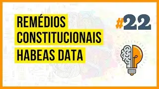 Habeas Data - Rem&eacute;dios Constitucionais (CF88 #22)