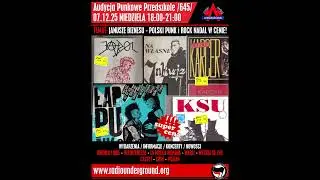 Audycja Punkowe Przedszkole (645) - Janusze Biznesu. Polski Punk i Rock Nadal w Cenie. Cz.1: Kasety