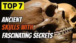 Top 7 Ancient Skulls With Mysterious Secrets | 4K Archaeological Discoveries