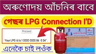How to Check LPG Connection ID Online -Indane, Bharat Gas // How to Download LPG I'd //  LPG ID