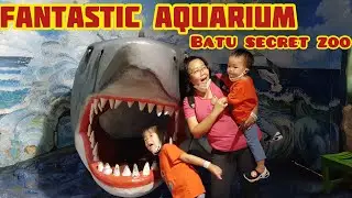 Batu Secret Zoo | Aquarium Jatim Park 2 | Batu Malang