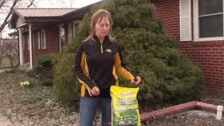 Spring Lawn Care with Jennifer Schutter