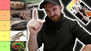 Lizard Tier List (Part 2)